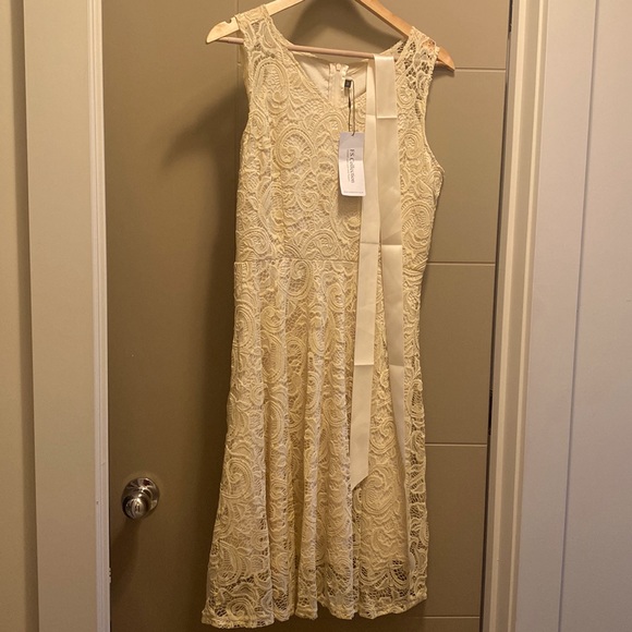 FS Collection bridesmaid lace dress in champagne - Picture 5 of 9